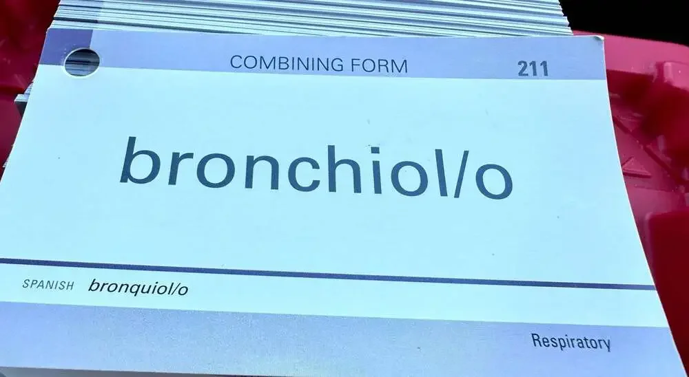 Mosby's Medical Terminology Flash Cards 3rd Edition:211-599